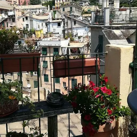 Il Geco *